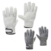 크레토스 알곤장갑 (돈피) AP 시리즈 (10ea)